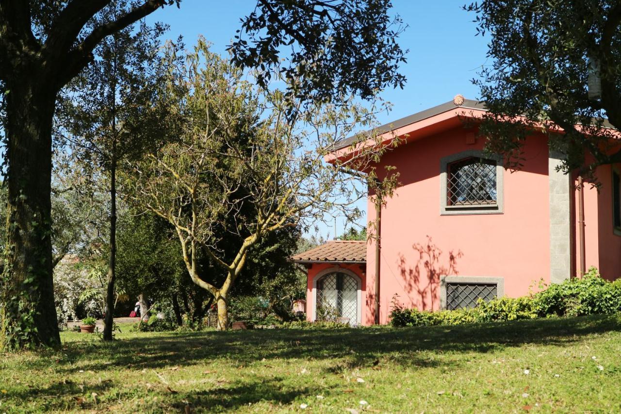 B&B Ai Glicini - Castelli Romani Marino Exterior photo