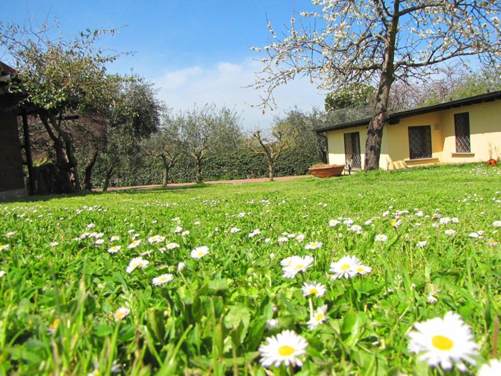 B&B Ai Glicini - Castelli Romani Marino Exterior photo